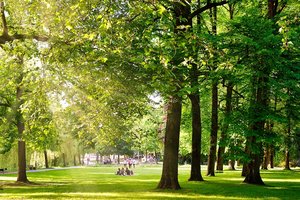 Stadtpark Borken