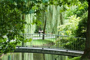 Die Stadt Borken bietet am 20. August 2022 gemeinsam mit der Natur- und Landschaftsführerin Doris Gausling eine Sommerwanderung durch den Borkener Stadtpark an.