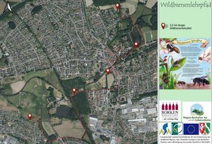 Radtour zur Eröffnung des Wildbienenlehrpfads am 20. September 2022.