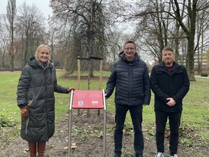 Trotz regnerischen Wetters trafen sich Borkens Bürgermeisterin Mechtild Schulze Hessing, der erste Vorsitzende des Partnerschaftsvereins Borken Markus Rößing (Mitte) und Partnerschaftsvereins-Geschäftsführer Bernd Schmäing jetzt im Borkener Stadtpark an dem Baum, den die Whitstable Twinning Association zur 35-jährigen Städtepartnerschaft gespendet hatte.