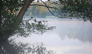 Erholungsgebiet PröbstingSee