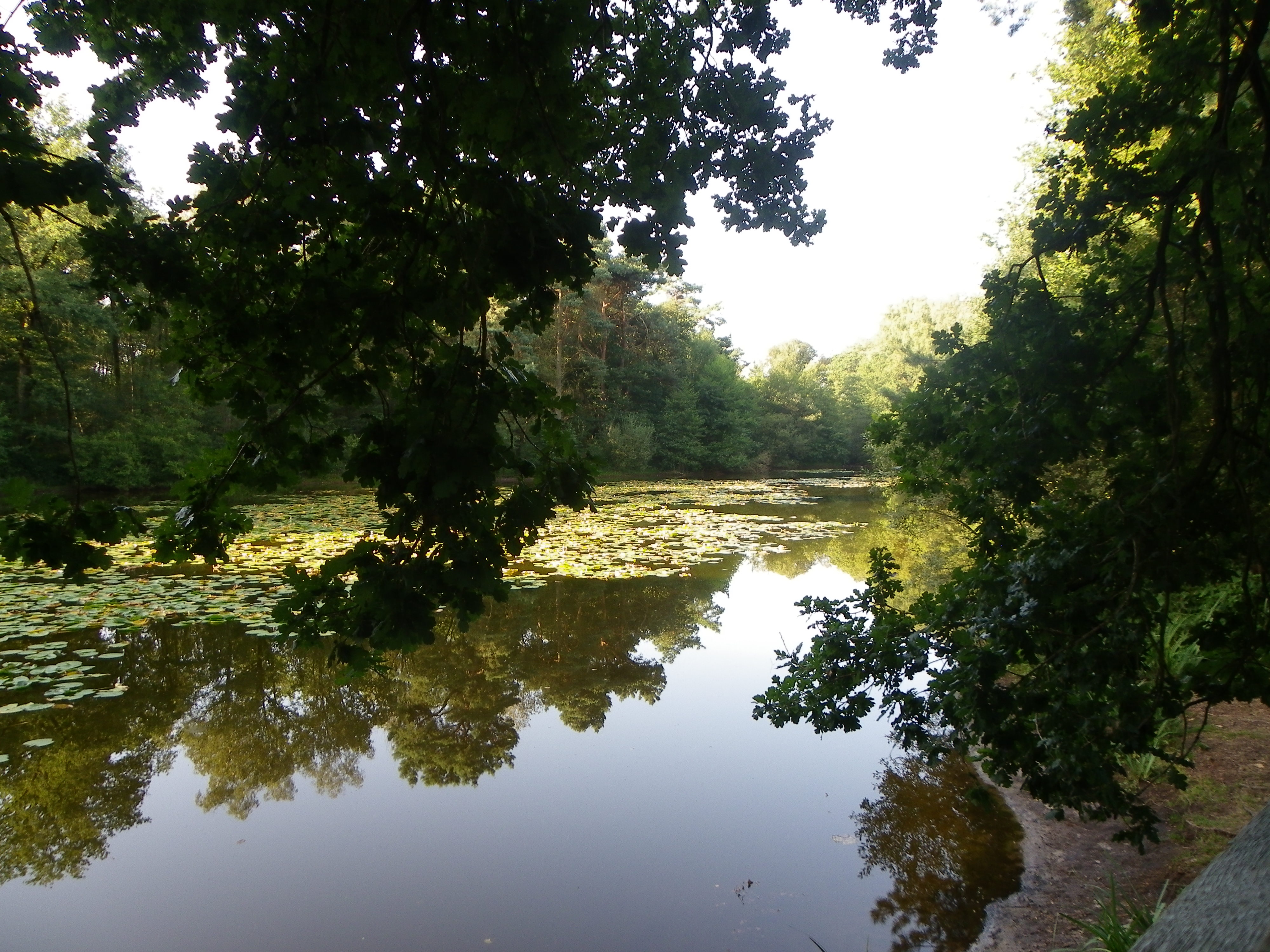 VHS Heideweiher