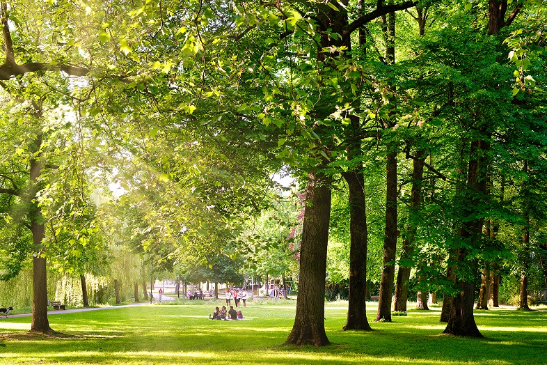 Stadtpark Borken